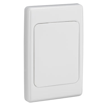 Clipsal 2000 SERIES Blank Plate White