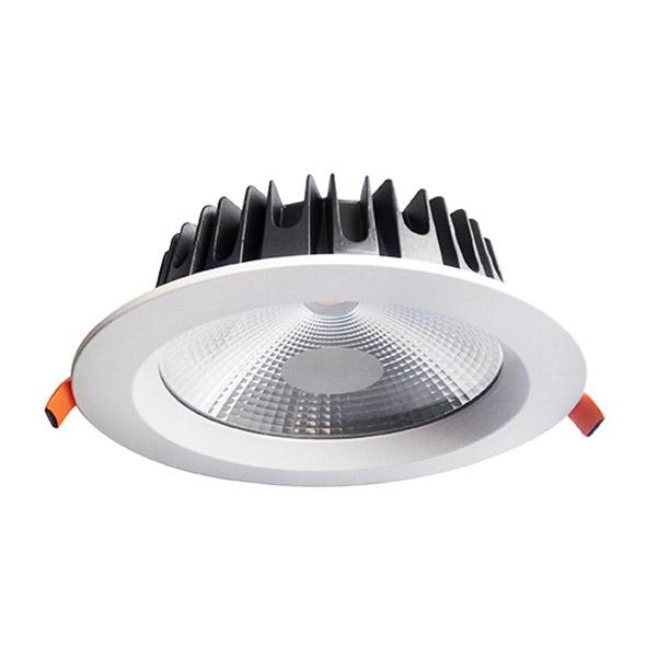 20W Commercial Fixed Dimmable LED Downlight